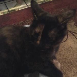 Meet your Posher, Cheryl